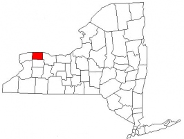 Orleans County